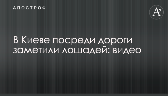 У Києві посеред дороги помітили коней: відео