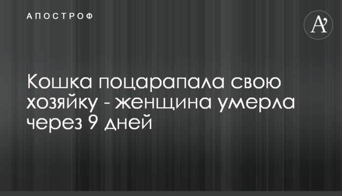 Кішка подряпала свою господиню - жінка померла через 9 днів