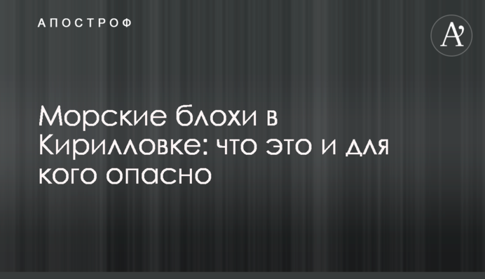 Морські блохи в Кирилівці: що це і для кого небезпечно