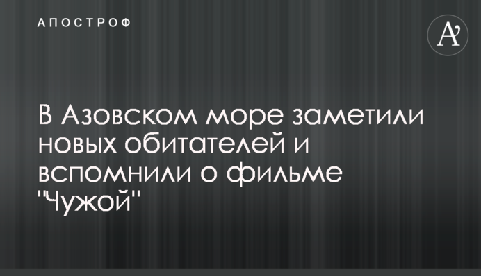 В Азовском море заметили новых обитателей и вспомнили о фильме 