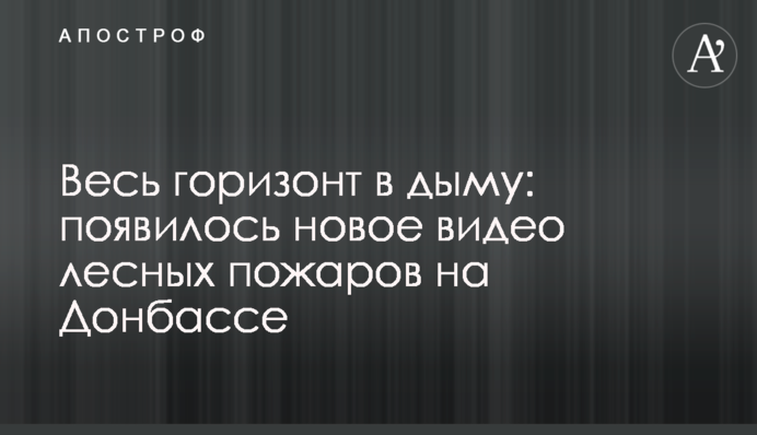 Весь горизонт в дыму: появилось новое видео лесных пожаров на Донбассе