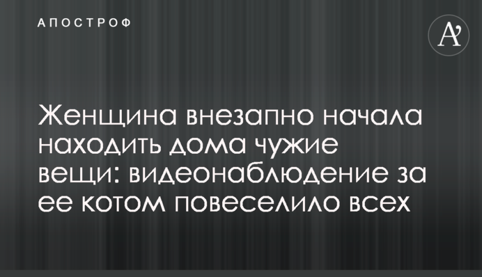Жінка несподівано почала знаходити вдома чужі речі: відеоспостереження за її котом повеселило всіх