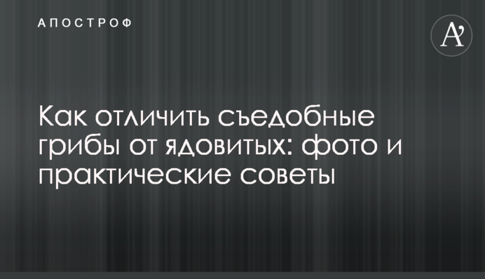 Как отличить съедобные грибы от ядовитых: фото и практические советы