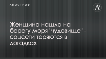 Жінка знайшла на березі моря "чудовисько" - соцмережі губляться в здогадах