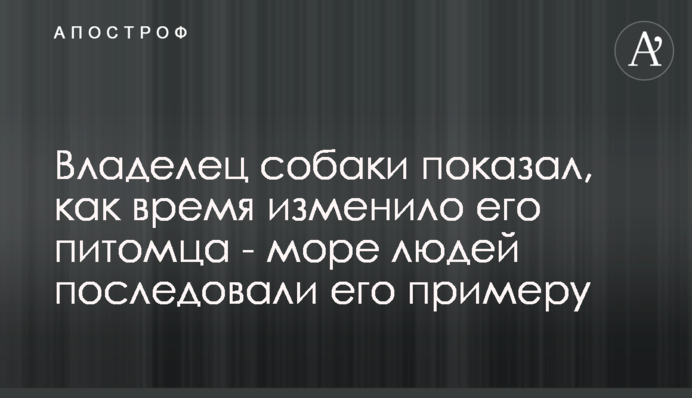 Власник собаки показав, як час змінив його вихованця - море людей зробили так само