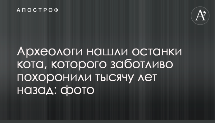 Археологи нашли останки кота, которого заботливо похоронили тысячу лет назад: фото