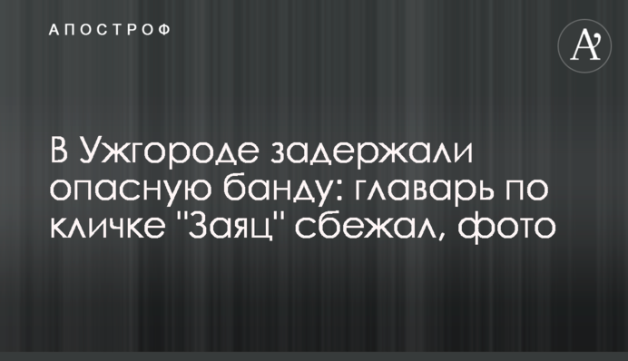 В Ужгороді затримали небезпечну банду: ватажок на прізвисько 
