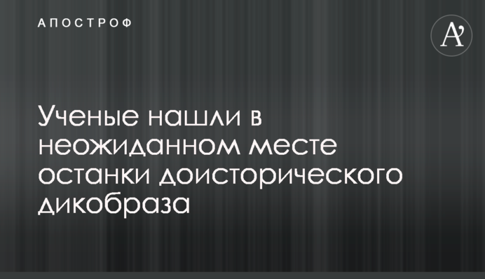 Вчені знайшли в несподіваному місці рештки доісторичного дикобраза