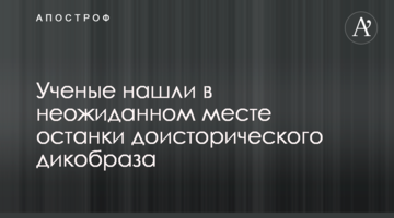 Вчені знайшли в несподіваному місці рештки доісторичного дикобраза