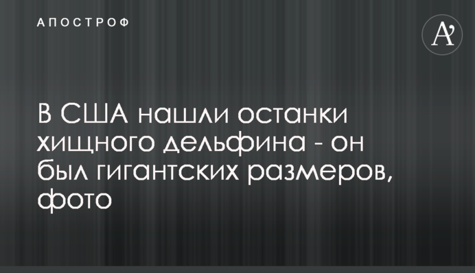 У США знайшли останки хижого дельфіна - він був гігантських розмірів, фото