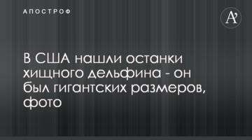 У США знайшли останки хижого дельфіна - він був гігантських розмірів, фото