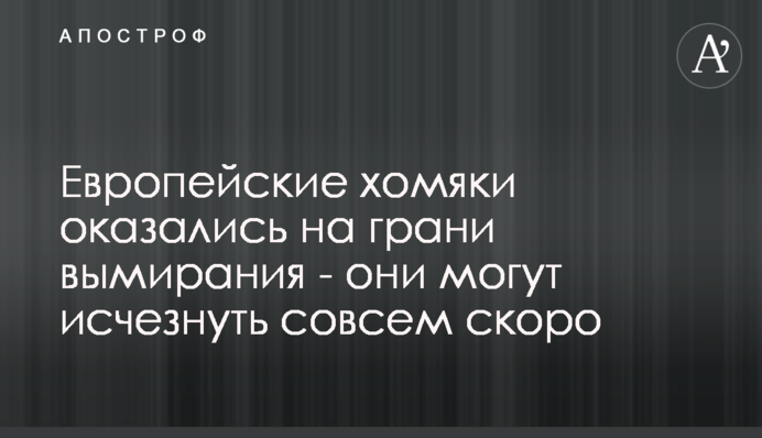 Європейські хом'яки виявилися на межі вимирання - вони можуть зникнути зовсім скоро