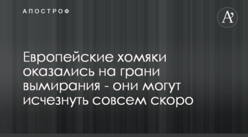 Європейські хом'яки виявилися на межі вимирання - вони можуть зникнути зовсім скоро