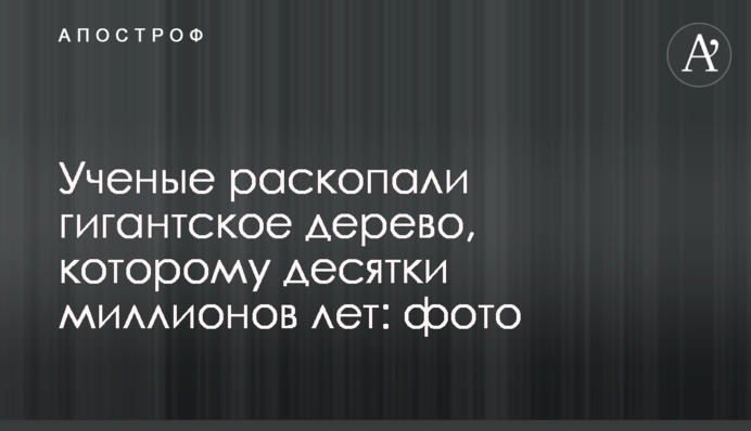 Ученые раскопали гигантское дерево, которому десятки миллионов лет: фото