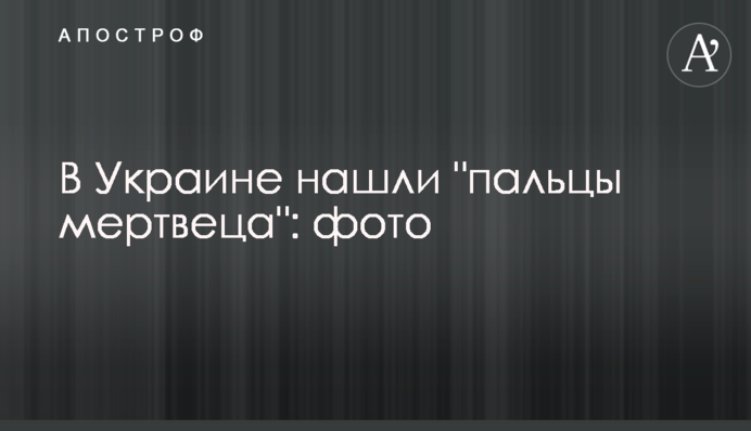 В Украине нашли 
