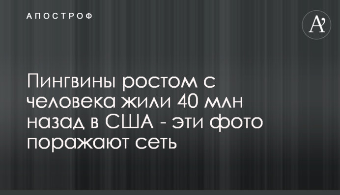 Пінгвіни у людський зріст жили 40 млн назад в США - ці фото вражають мережу