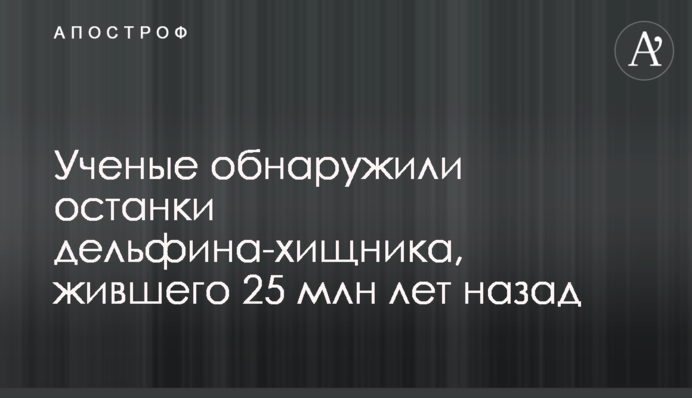 Вчені виявили останки дельфіна-хижака, який жив 25 млн років тому