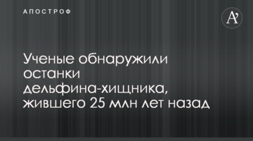 Вчені виявили останки дельфіна-хижака, який жив 25 млн років тому