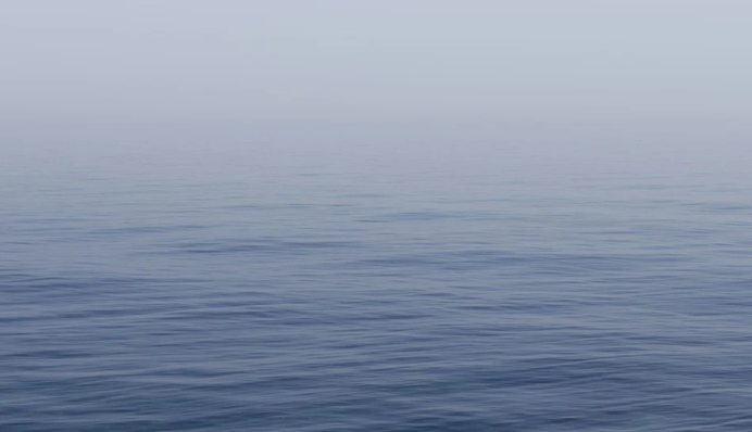 Туристів в Одесі попередили про небезпеку в морі - і це зовсім не медузи, відео