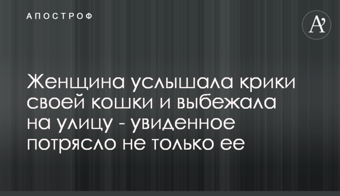 Женщина услышала крики своей кошки и выбежала на улицу - увиденное потрясло  не только ее