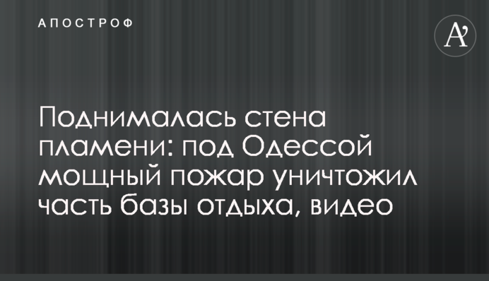 Поднималась стена пламени: под Одессой мощный пожар уничтожил часть базы отдыха, видео