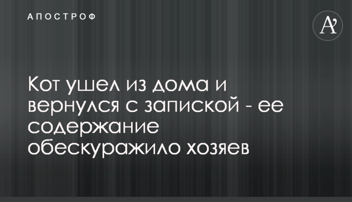 Кіт пішов з дому і повернувся з запискою - її зміст збентежив господарів