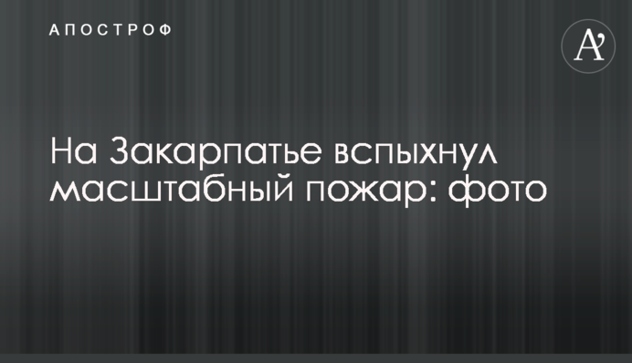 На Закарпатті спалахнула масштабна пожежа: фото