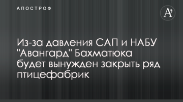 Из-за давления САП и НАБУ "Авангард" Бахматюка будет вынужден закрыть ряд птицефабрик
