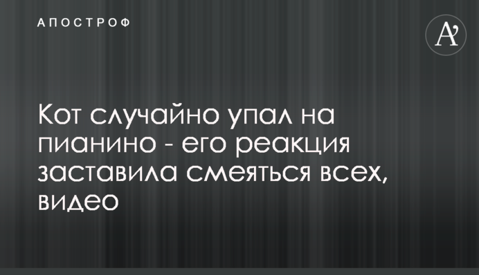 Кот випадково впав на піаніно - його реакція змусила сміятися всіх, відео