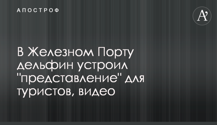 В Железном Порту дельфин устроил 