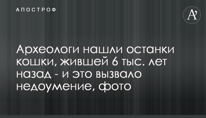 Археологи знайшли останки кішки, що жила 6 тис. років тому - і це викликало подив, фото