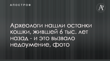Археологи знайшли останки кішки, що жила 6 тис. років тому - і це викликало подив, фото