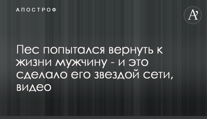Пес спробував повернути до життя чоловіка - і це зробило його зіркою, відео