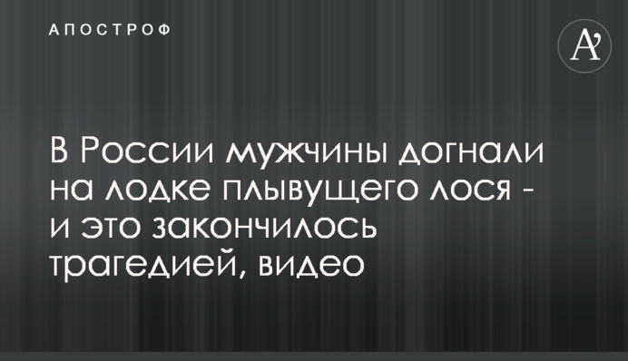 У Росії чоловіки наздогнали на човні лося, що плив - і це закінчилося трагедією, відео