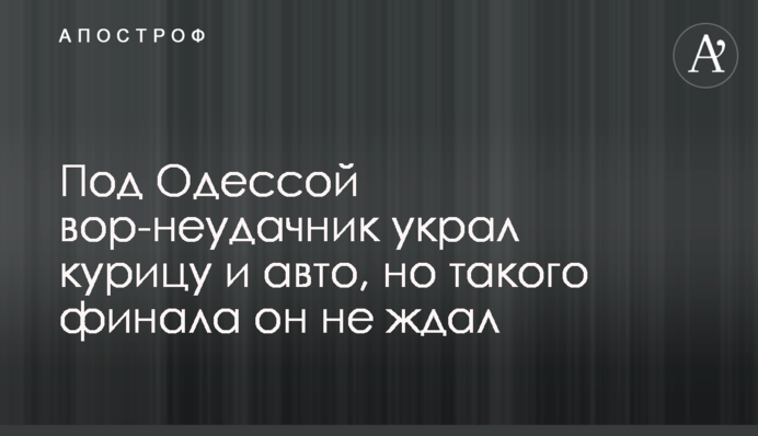 Под Одессой вор-неудачник украл курицу и авто, но такого финала он не ждал