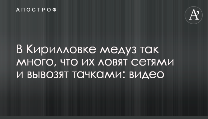 В Кирилловке медуз так много, что их ловят сетями и вывозят тачками: видео