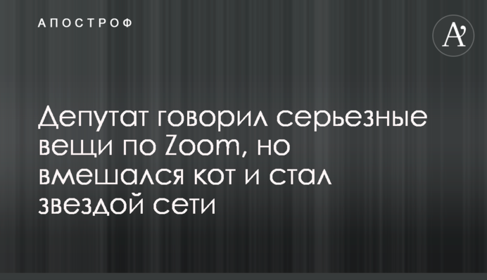 Депутат говорил серьезные вещи по Zoom, но вмешался кот и стал звездой сети