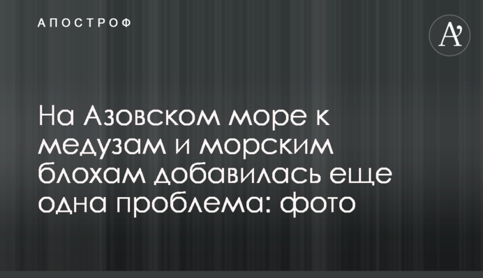 На Азовском море к медузам и морским блохам добавилась еще одна проблема: фото