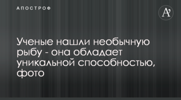 Вчені знайшли незвичайну рибу - вона має унікальну здатність, фото