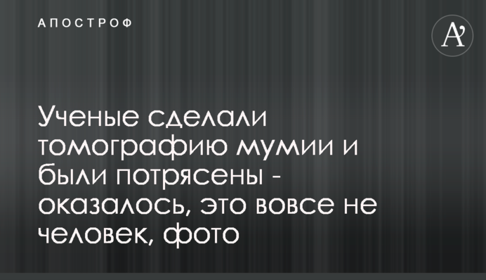 Вчені зробили томографію мумії і були вражені - виявилося, це зовсім не людина, фото