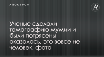 Вчені зробили томографію мумії і були вражені - виявилося, це зовсім не людина, фото