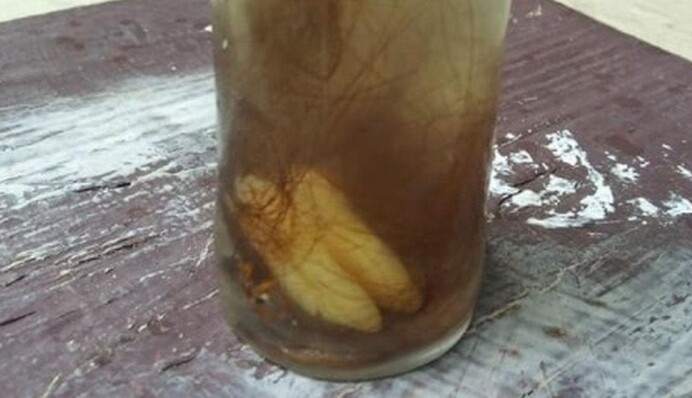 Мужчина обнаружил 