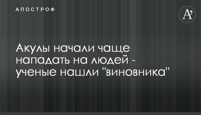Акулы начали чаще нападать на людей - ученые нашли 