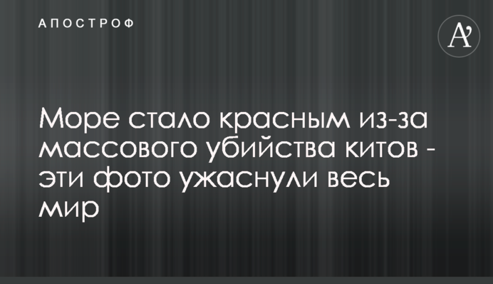 Море стало червоним через масове вбивство китів - ці фото жахнули весь світ