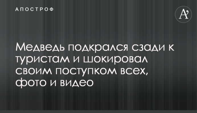Ведмідь підкрався ззаду до туристів і шокував своїм вчинком всіх, фото і відео