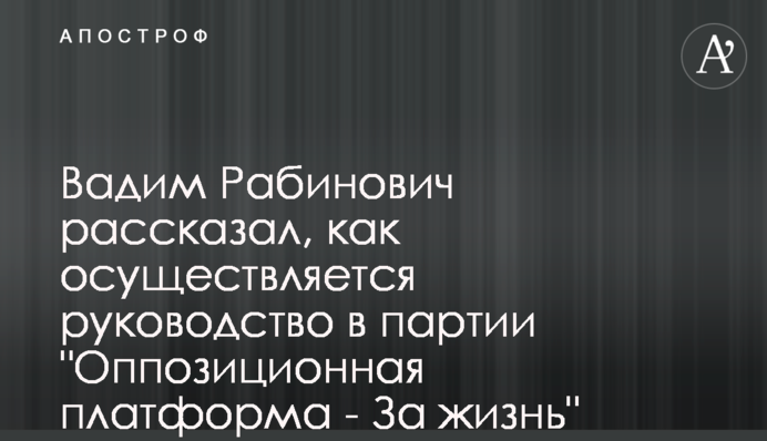 Вадим Рабинович рассказал, как осуществляется руководство в партии 