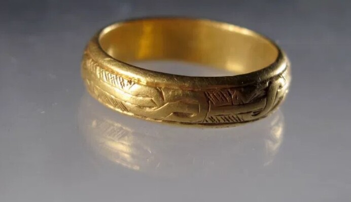 Римский клад случайно нашли в саду - находка поразила даже археологов, фото