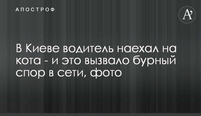 У Києві водій наїхав на кота - і це викликало бурхливу суперечку в мережі, фото