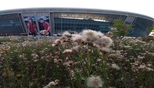 Под Днепром автомобиль Нацгвардии попал в смертельное ДТП: 20-летний солдат задержан, фото