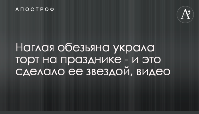 Нахабна мавпа вкрала торт на святі - і це зробило її зіркою, відео